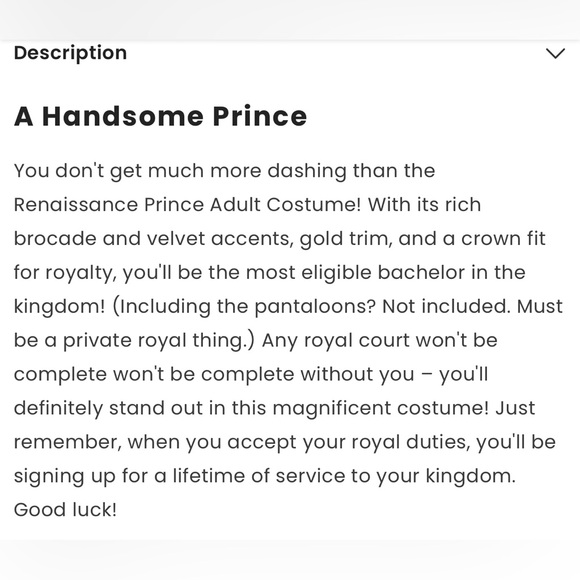 👑 Renaissance Prince Men’s Costume Size Large 👑 - Picture 4 of 16